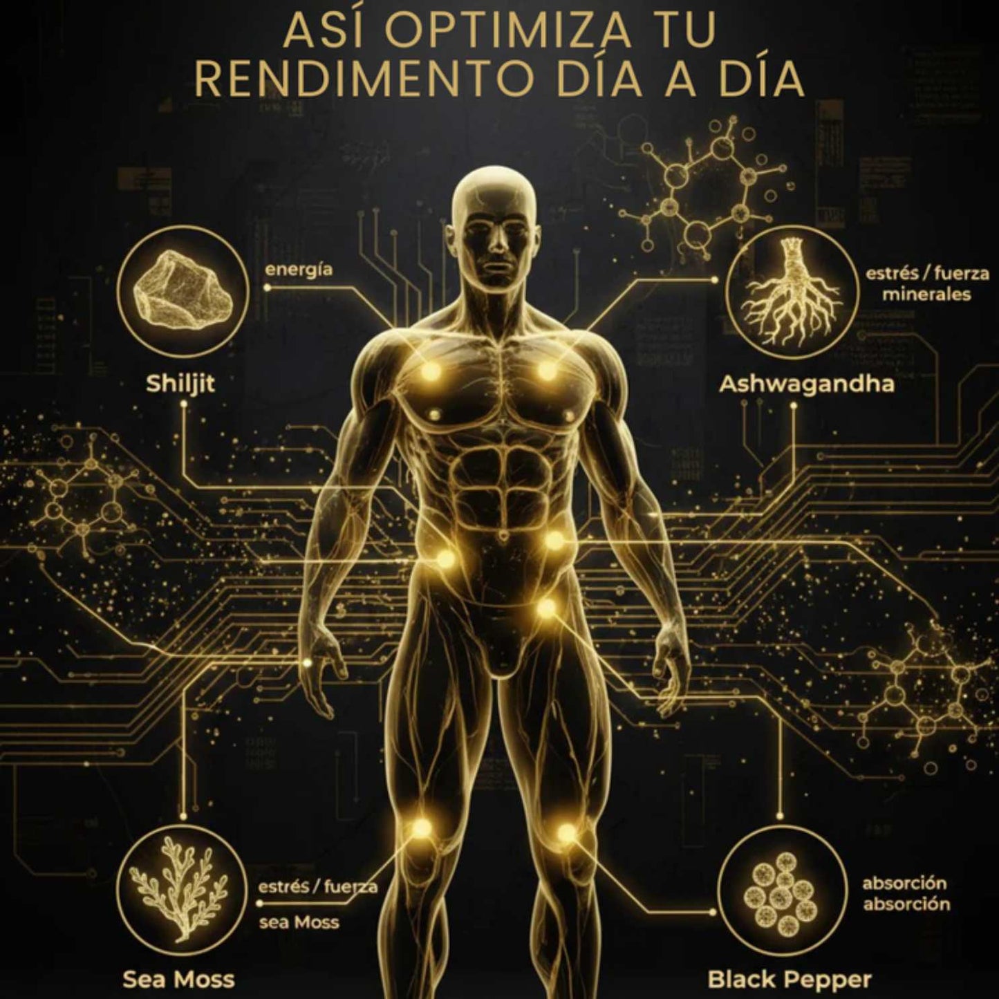 Shilajit Ultra Original™ x60 cápsulas – Energía y Vitalidad Diaria 🔥